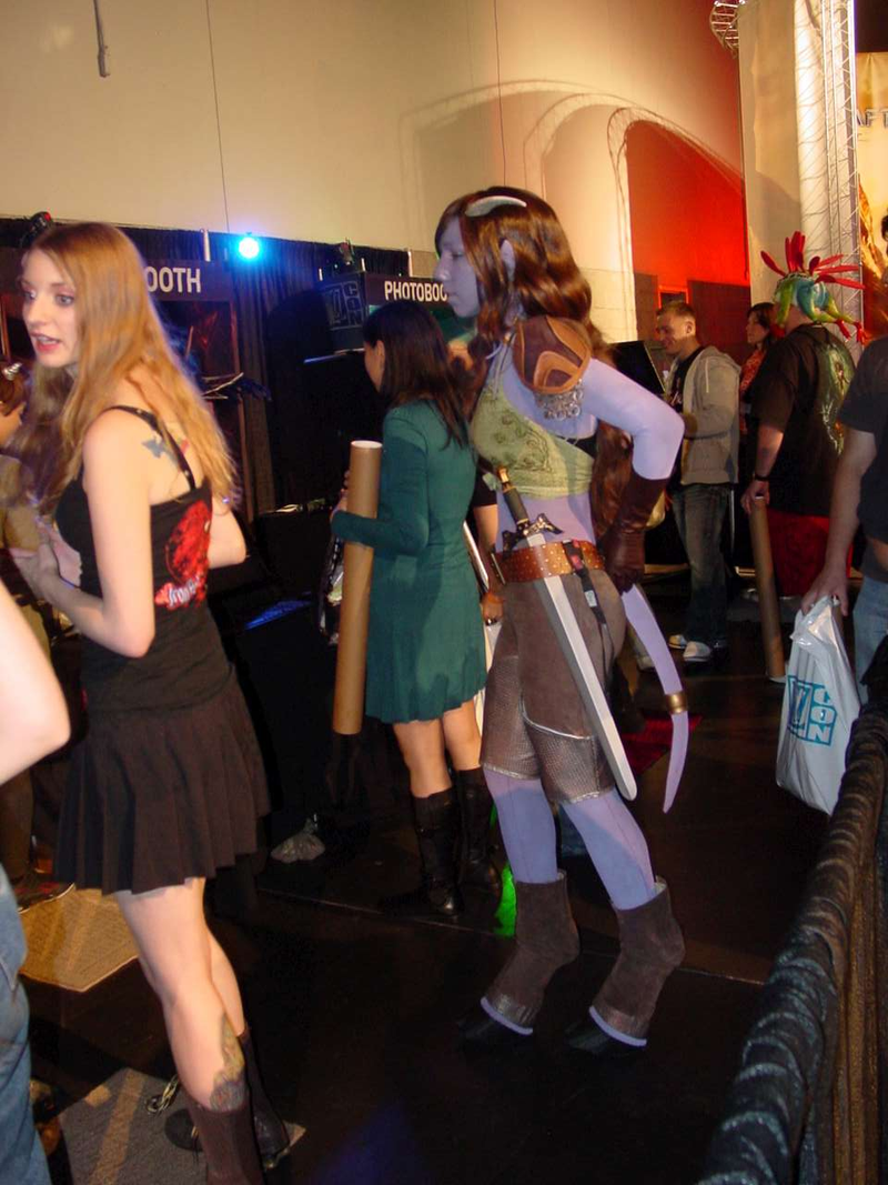 Illustration for article titled BlizzCon 2010 Cosplay Blowout Part Two: Trolling For Chicks